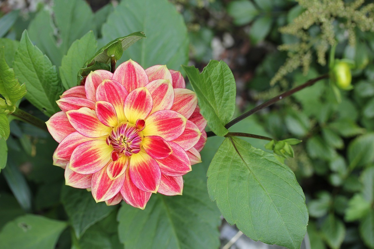 重慶鑫德花卉園藝有限公司（重慶鑫德花卉園藝有限公司招聘）