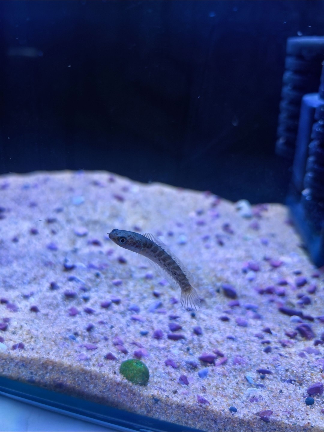 5.26
