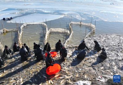 海沙可以放魚缸里養魚嗎（海沙可以放在魚缸里養魚嗎？）