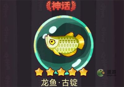 龍魚怎么洗（如何保持龍魚水質(zhì)穩(wěn)定，龍魚換水的最佳時機） 龍魚怎么洗（如何保持龍魚水質(zhì)穩(wěn)定，龍魚換水的最佳時機） 龍魚百科 第3張