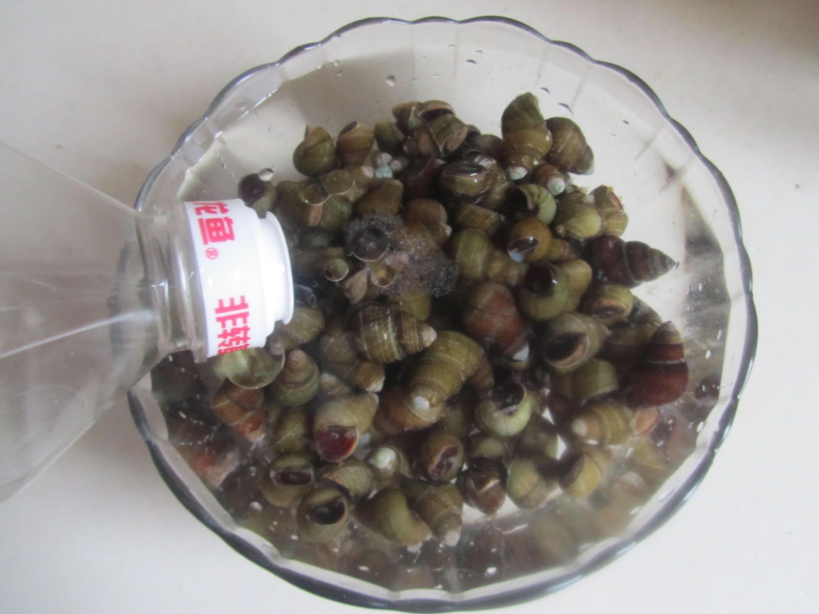 龍魚怎么洗（如何保持龍魚水質(zhì)穩(wěn)定，龍魚換水的最佳時機） 龍魚怎么洗（如何保持龍魚水質(zhì)穩(wěn)定，龍魚換水的最佳時機） 龍魚百科 第4張