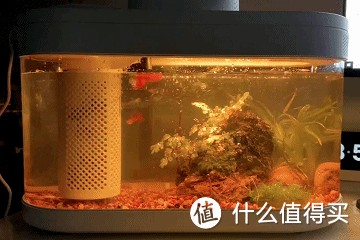 畫家幾何魚缸（智能家居生態鏈的探索）
