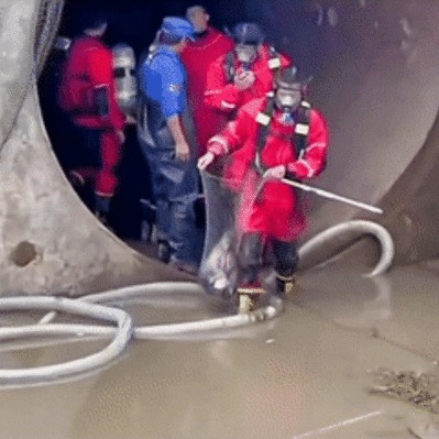 大石橋市好運水族魚館（大石橋市好運水族魚館電話）