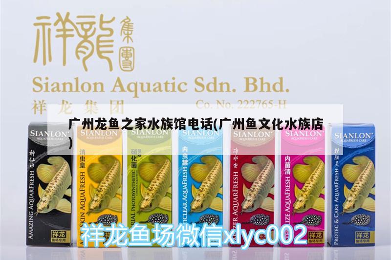閩清縣白中鎮傳奇水族店