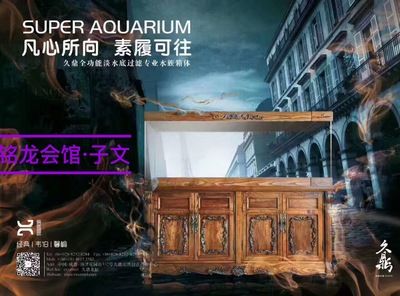 久鼎魚缸在哪買：久鼎魚缸專營店分布情況如何辨別久鼎魚缸真偽