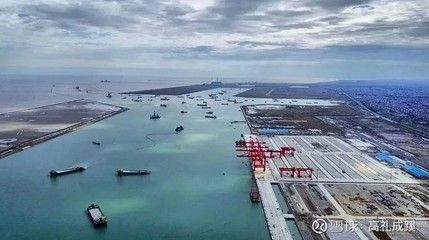 金龍魚啟東呂四港區：金龍魚啟東呂四港區項目建設有序推進