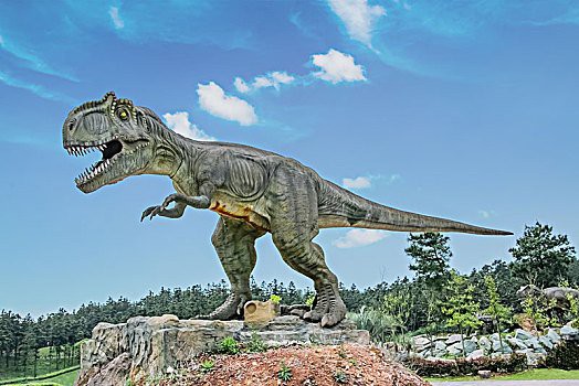 眼鏡蛇雷龍魚壁紙