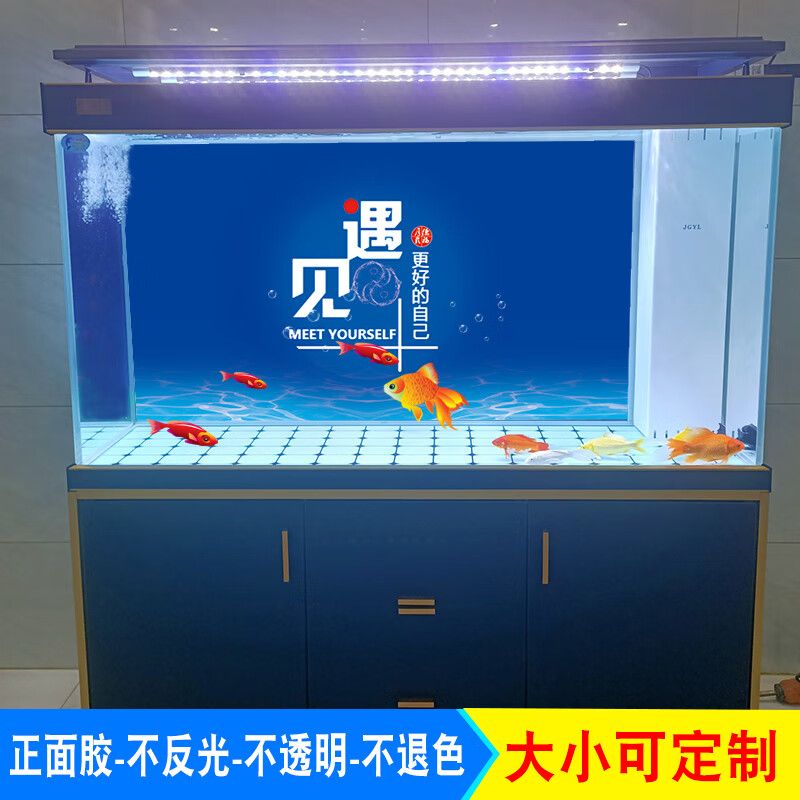 夢 魚缸：《夢魚缸》中夢見魚缸的寓意