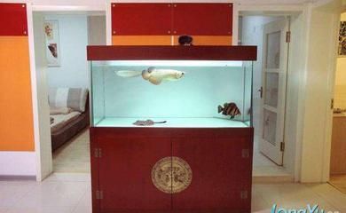 夢 魚缸：《夢魚缸》中夢見魚缸的寓意