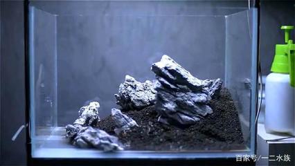 金橋開發區暖魚閣觀賞魚經銷店