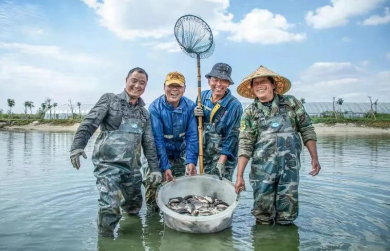 南京龍魚(yú)批發(fā)市場(chǎng)在哪里啊多少錢(qián)一斤