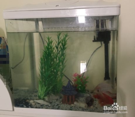 魚缸制氧機使用方法，如何判斷魚缸缺氧