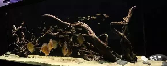 海沙魚缸造景圖（關于海沙魚缸造景圖的問題）