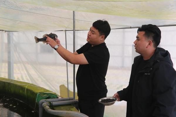 定興縣有多家店鋪銷售魚缸及相關水族產品的銷售服務：定興縣多家店鋪銷售魚缸及相關水族產品