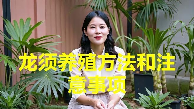 龍須貓適合哪些人群飼養？ 龍須貓適合哪些人群飼養？ 龍魚百科 第5張