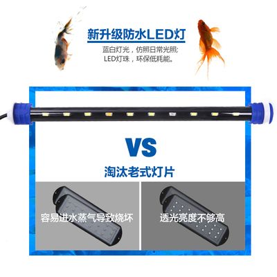 魚缸LED燈防水性能對比：如何維護魚缸led燈防水性 魚缸LED燈防水性能對比：如何維護魚缸led燈防水性 魚缸百科 第2張