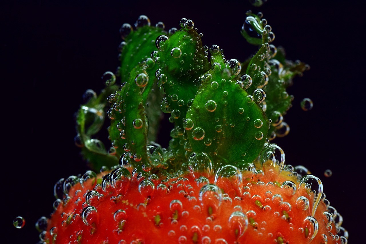 沈陽市和平區懿鳴水族生活館（沈陽市和平區懿鳴水族生活館地址）
