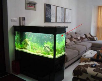 工作室魚缸風水布局優化:辦公室魚缸擺放位置及其風水意義 魚缸百科 第4張 工作室魚缸風水布局優化:辦公室魚缸擺放位置及其風水意義 工作室魚缸風水布局優化:辦公室魚缸擺放位置及其風水意義 魚缸百科 第4張