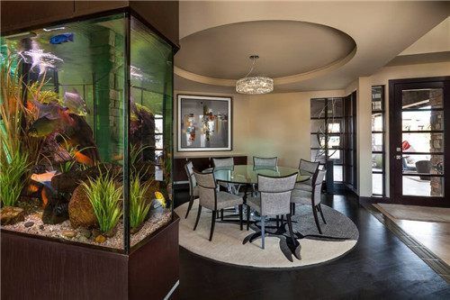 工作室魚缸風水布局優化:辦公室魚缸擺放位置及其風水意義 魚缸百科 第1張 工作室魚缸風水布局優化:辦公室魚缸擺放位置及其風水意義 工作室魚缸風水布局優化:辦公室魚缸擺放位置及其風水意義 魚缸百科 第1張