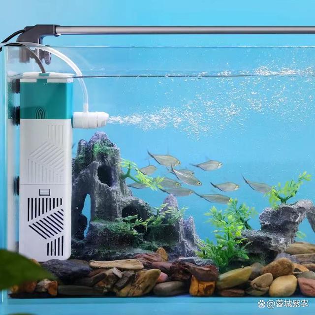 東莞市厚街銀龍水族館（東莞市厚街銀龍水族館地址）