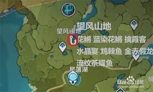 龍魚在哪里：龍魚原產(chǎn)地和分布