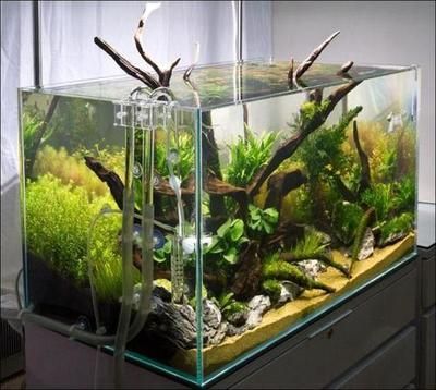 超白玻璃魚缸和浮法玻璃魚缸選擇浮法玻璃魚缸的選擇：浮法玻璃和超白玻璃的區別