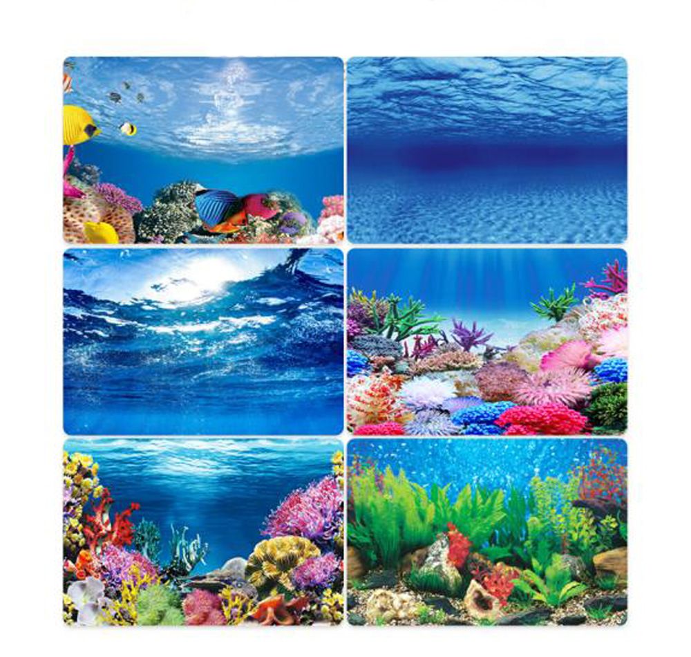 高端魚(yú)缸背景畫(huà)高清貼紙（個(gè)性化魚(yú)缸背景設(shè)計(jì)）