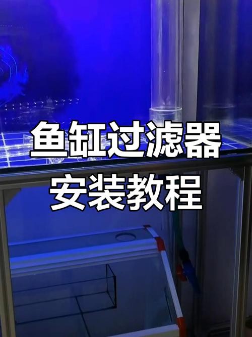 銀龍魚缸需要安裝過濾器嗎？