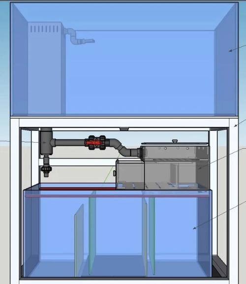 銀龍魚缸需要安裝過濾器嗎？