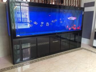 可麗愛魚缸的價格區間是多少？：可麗愛魚缸價格