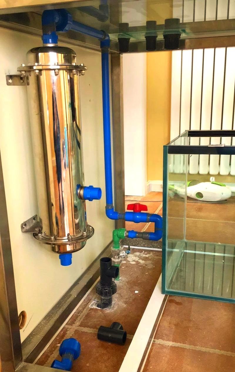 銀龍魚頭有白點是什么原因造成的