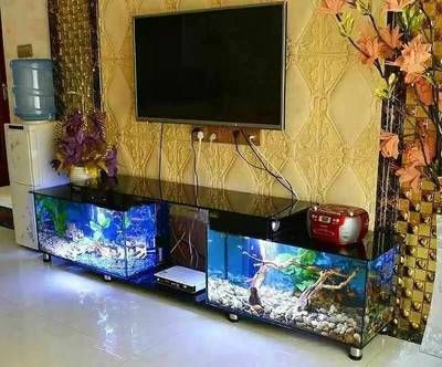 電視柜承重100斤的魚缸擺放位置和種類選擇合理布置魚缸：電視柜承重100斤的魚缸存在安全隱患