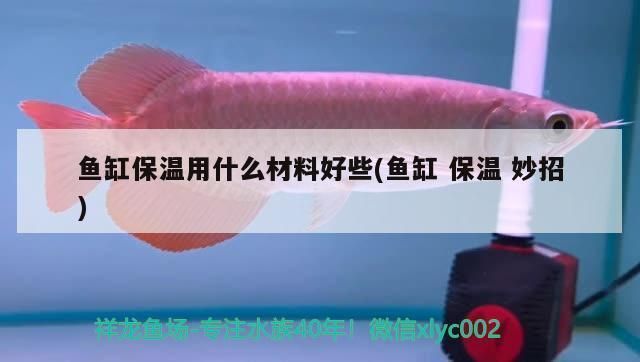 魚缸隔熱材料的成本效益分析：魚缸隔熱材料的優(yōu)勢(shì)
