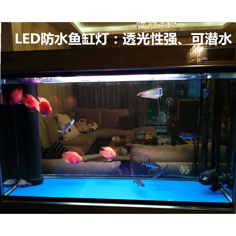 紅色魚缸燈的價格根據尺寸、品牌和功能等因素有所不同：紅色魚缸燈價格