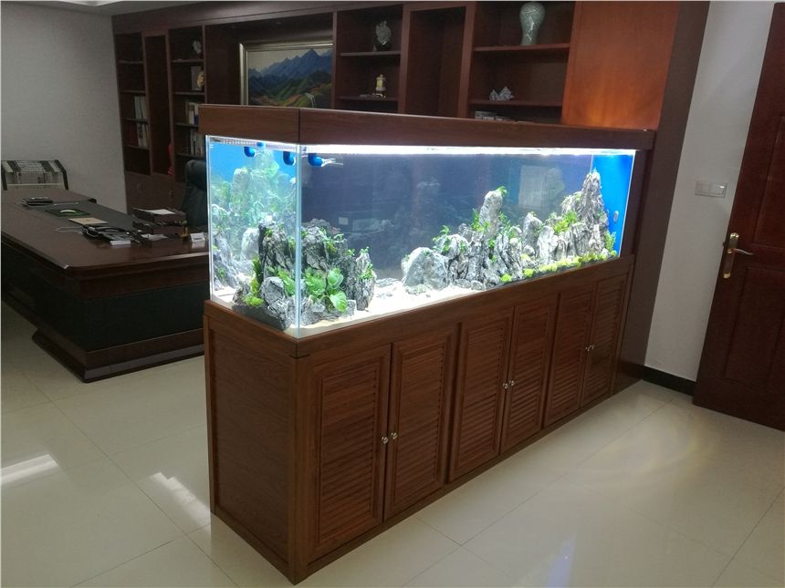 如何選購(gòu)亞克力魚缸：“訂制魚缸亞克力”在選購(gòu)亞克力魚缸時(shí)可以考慮以下幾個(gè)方面