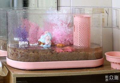 魚缸濾材搭配圖：魚缸濾材搭配圖詳情