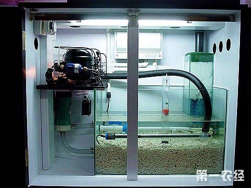 魚缸濾材搭配圖：魚缸濾材搭配圖詳情