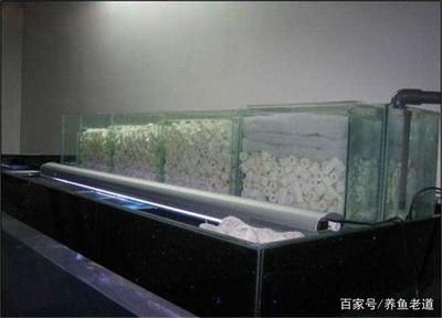 魚缸濾材搭配圖：魚缸濾材搭配圖詳情