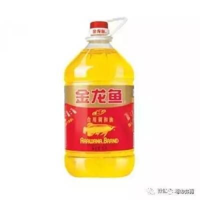 金龍魚官方網：金龍魚是一家全球知名的品牌