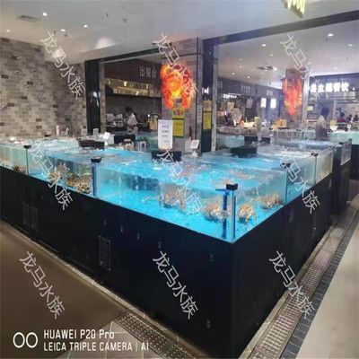 沈陽市和平區程亮水族館（沈陽市和平區程亮水族館地址）