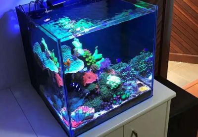 藍(lán)甸超白魚缸怎么樣：藍(lán)甸超白魚缸價格對比藍(lán)甸超白魚缸用戶評價匯總