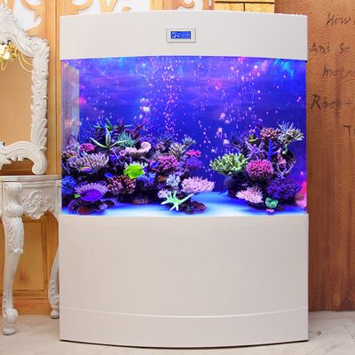 翌美魚缸是做什么的啊：翌美魚缸與其他品牌的比較，翌美魚缸的智能功能介紹 翌美魚缸是做什么的啊：翌美魚缸與其他品牌的比較，翌美魚缸的智能功能介紹 魚缸百科 第3張