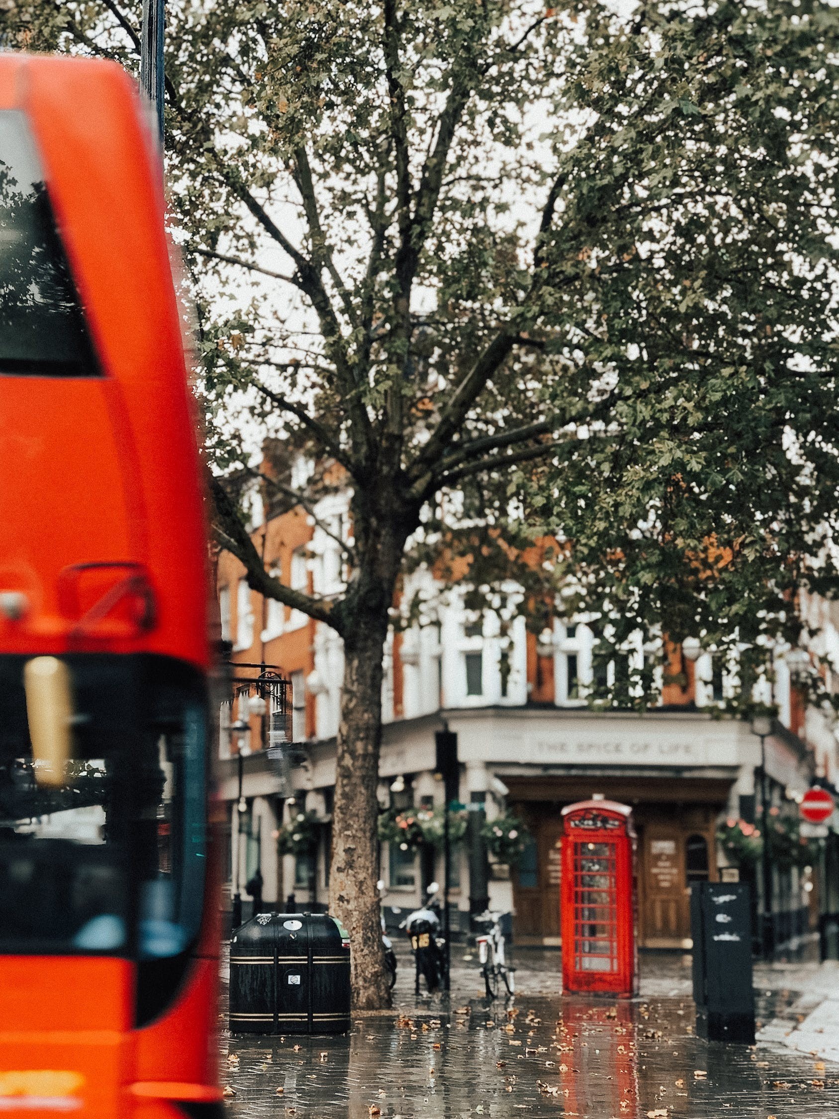 東陽市橫店鵬晟花鳥店
