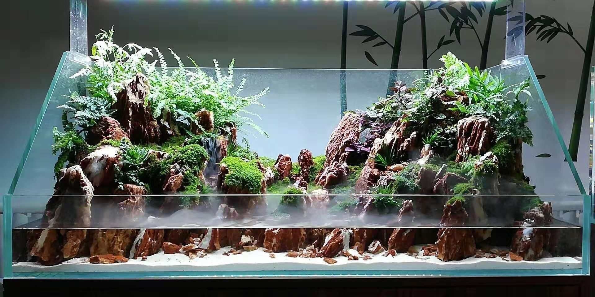 景培訓(xùn)課程選擇魚缸造景培訓(xùn)學(xué)校：廣州吳氏水草水族造景培訓(xùn)學(xué)校選擇魚缸造景培訓(xùn)課程