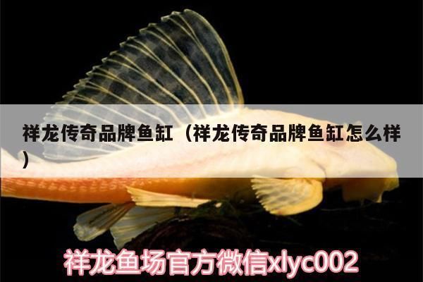 祥龍魚(yú)缸怎么樣好用嗎：祥龍魚(yú)缸用戶評(píng)價(jià)如何