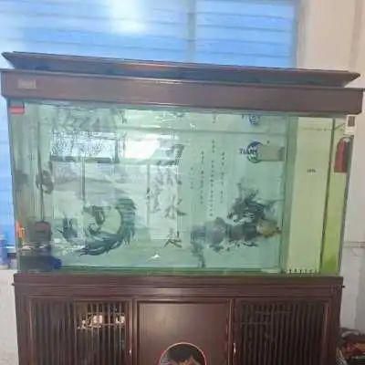 飯店二手魚缸低價出售（如何挑選合適的飯店二手魚缸）