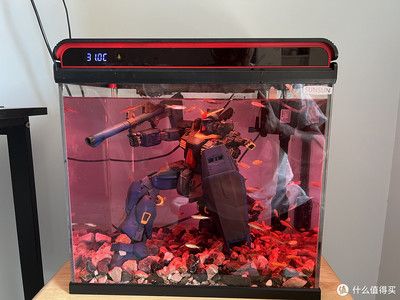 高錳酸鉀消毒魚缸的具體浸泡時間：高錳酸鉀消毒的具體浸泡時間