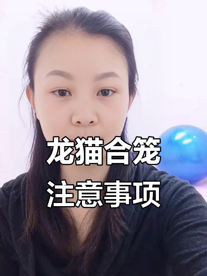 龍貓合籠后多久會適應？