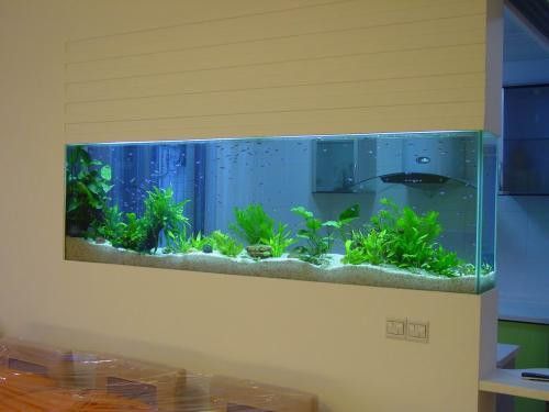 魚缸容積計算常見誤區：魚缸容積計算是養魚前必須進行的重要步驟