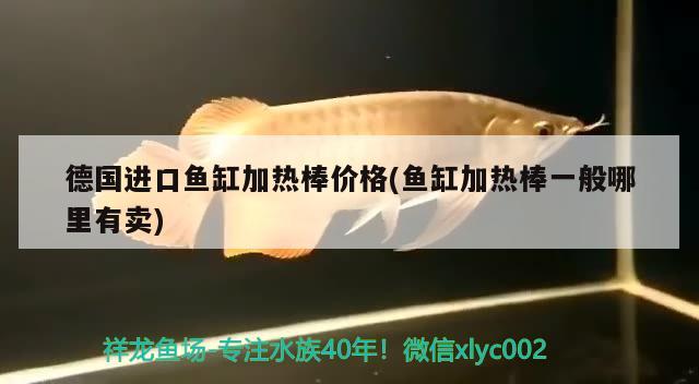 丹東市振安區銀龍養殖場